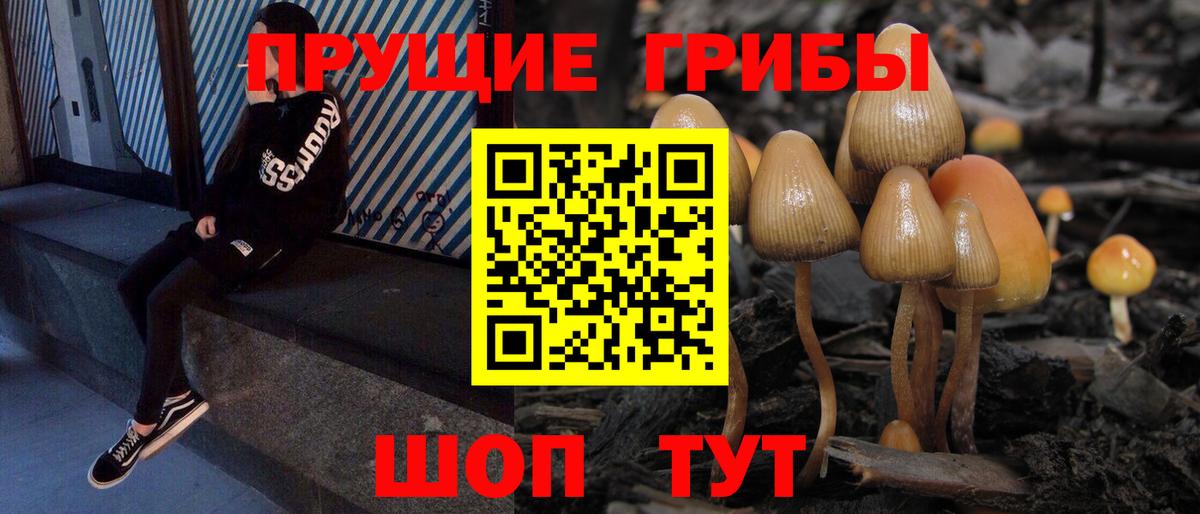 Псилоцибиновые грибы ЛСД  Вход с VPN  Псилоцибиновые грибы мицелий  Шебекино 
